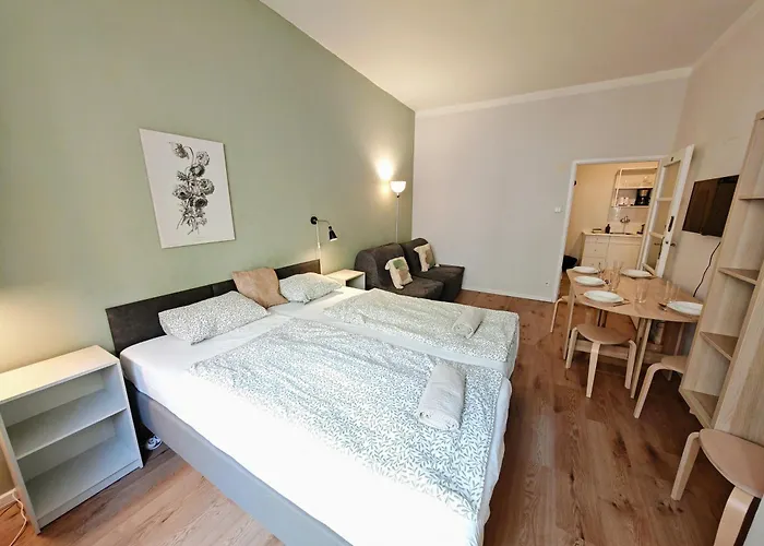 Flat In Zizkov -101-