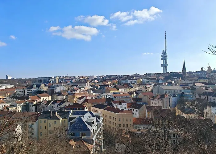 Flat In Zizkov -101-