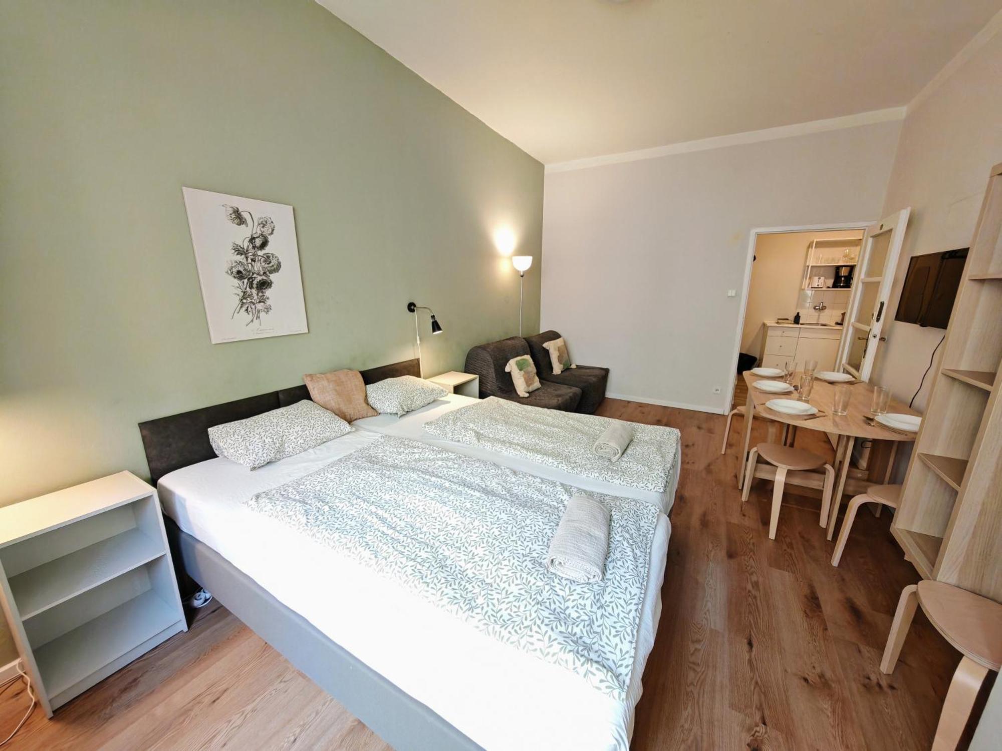 Flat In Zizkov -101- * Prague