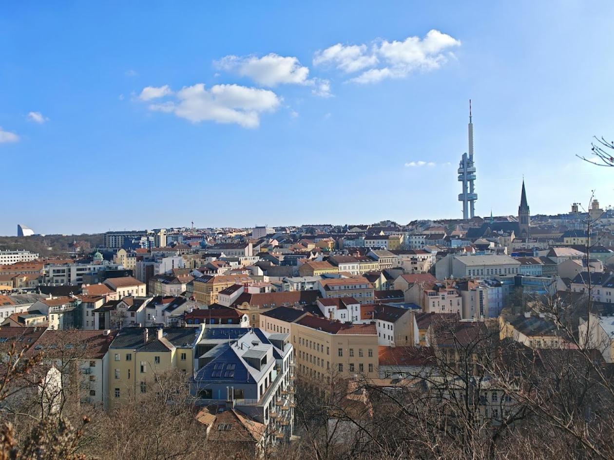 Flat In Zizkov -101- Praga