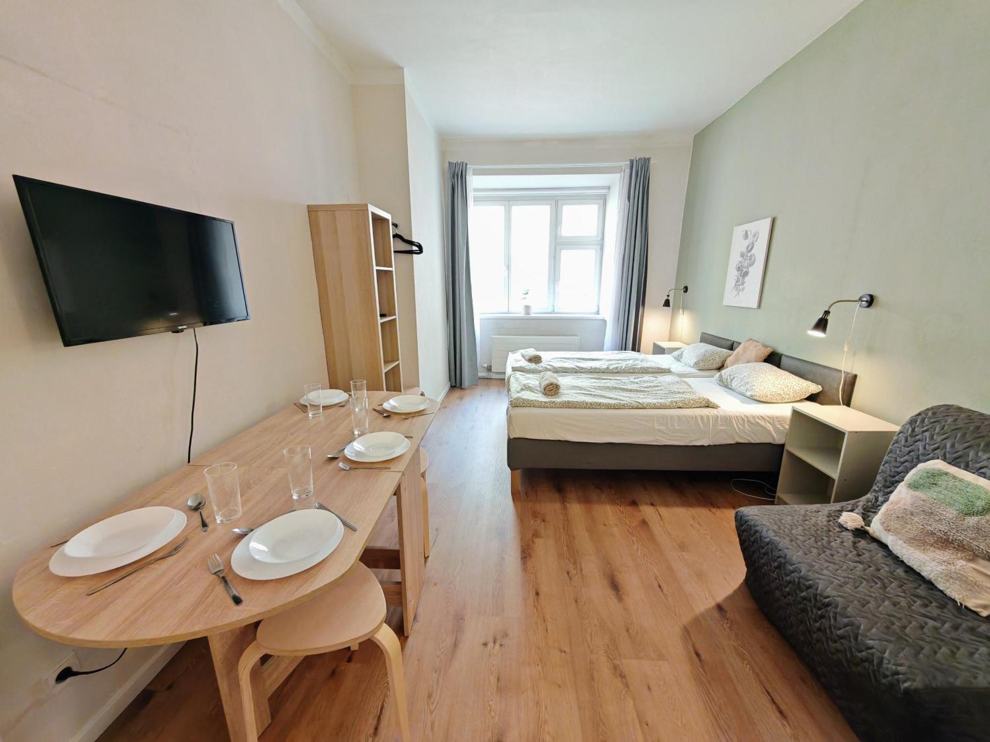 Flat In Zizkov -101- Praga