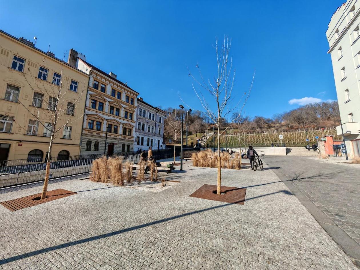 Flat In Zizkov -101- Appartamento